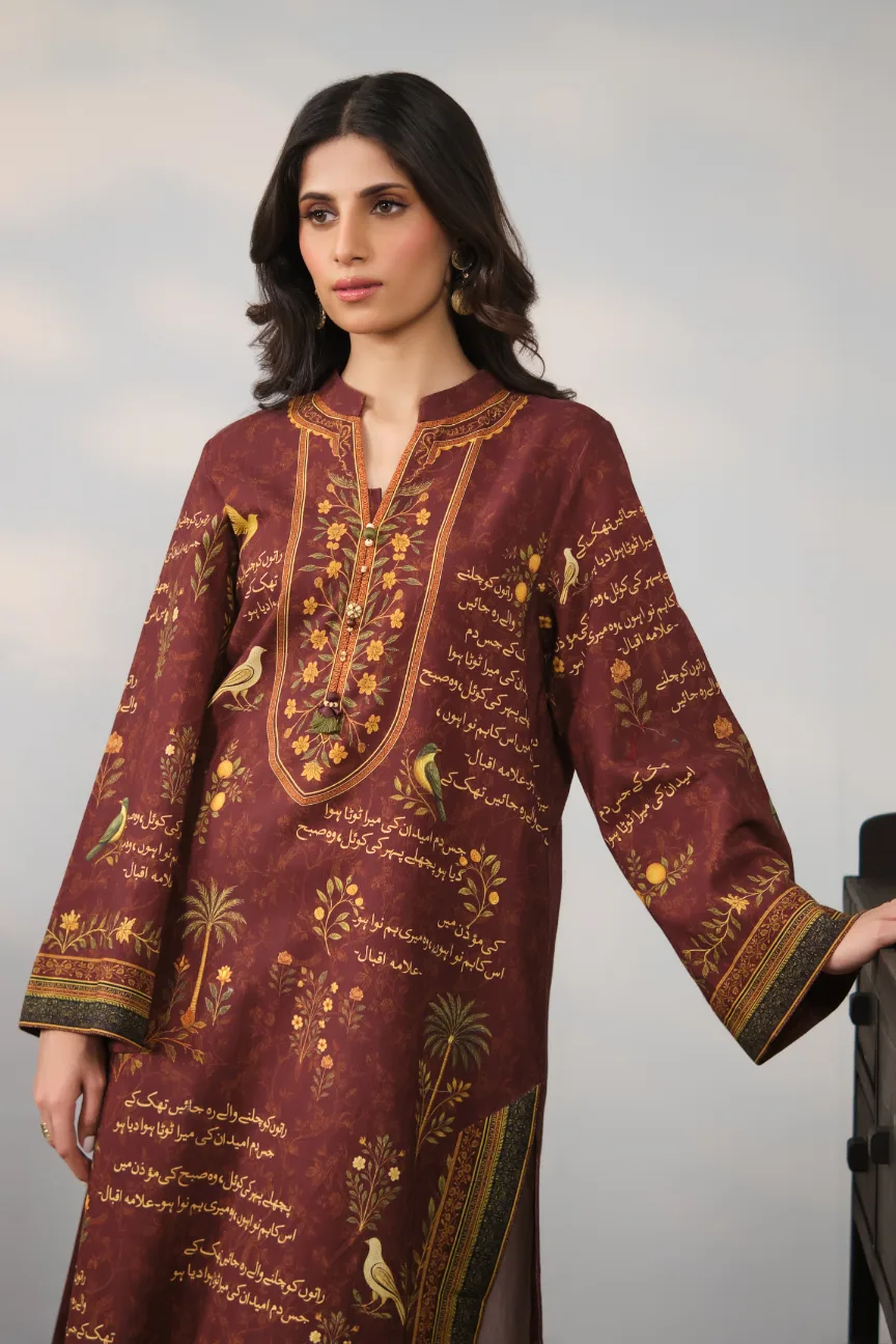 Anjuman (Beautiful Gathering) - Red Kurta - Image 3
