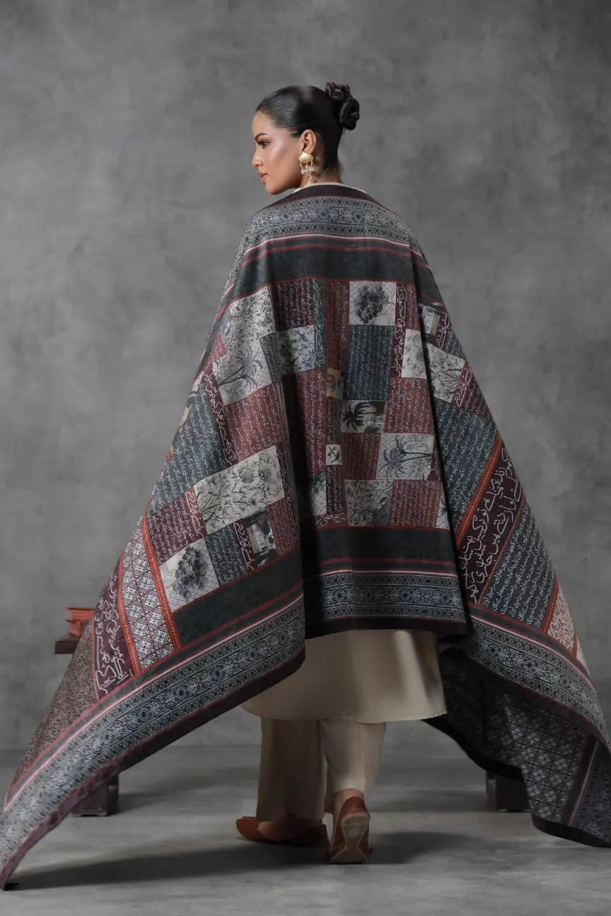 Guzarish (Request) Velvet Shawl - Image 6