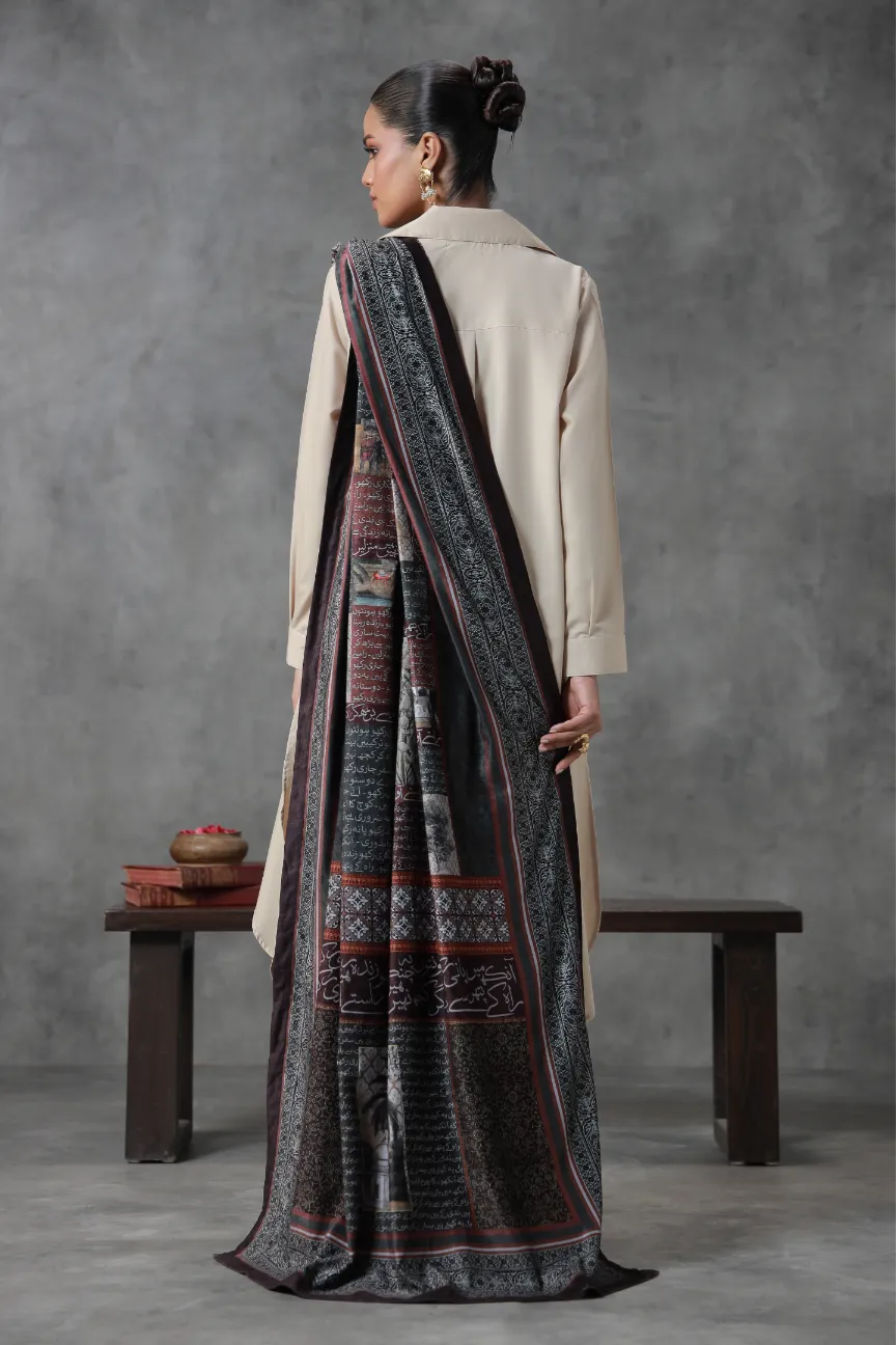 Guzarish (Request) Velvet Shawl - Image 8