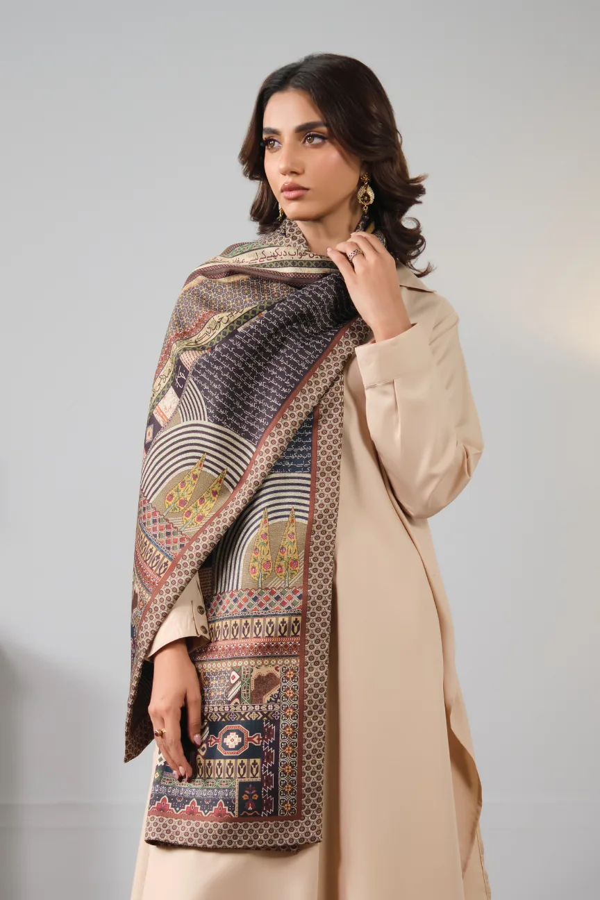 Shab-e-Taab (Luminous Night) - Stole - Image 4