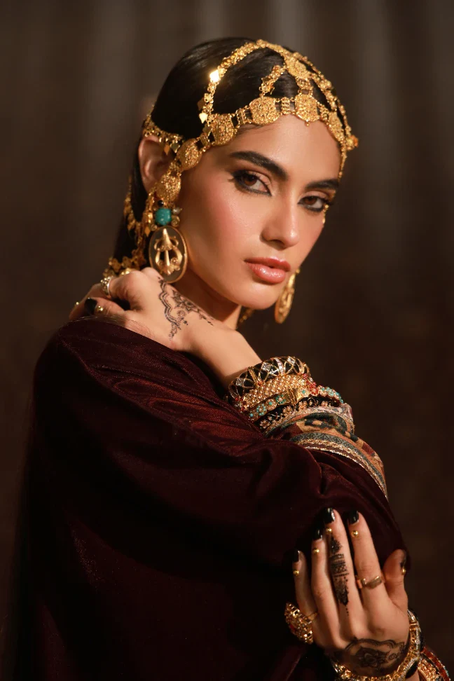 Shirin (Delightful) Velvet Set - Image 6