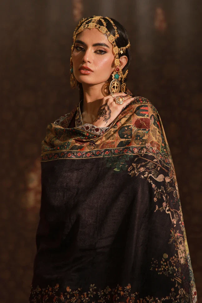 Vasl (Connection) Velvet Shawl - Image 4