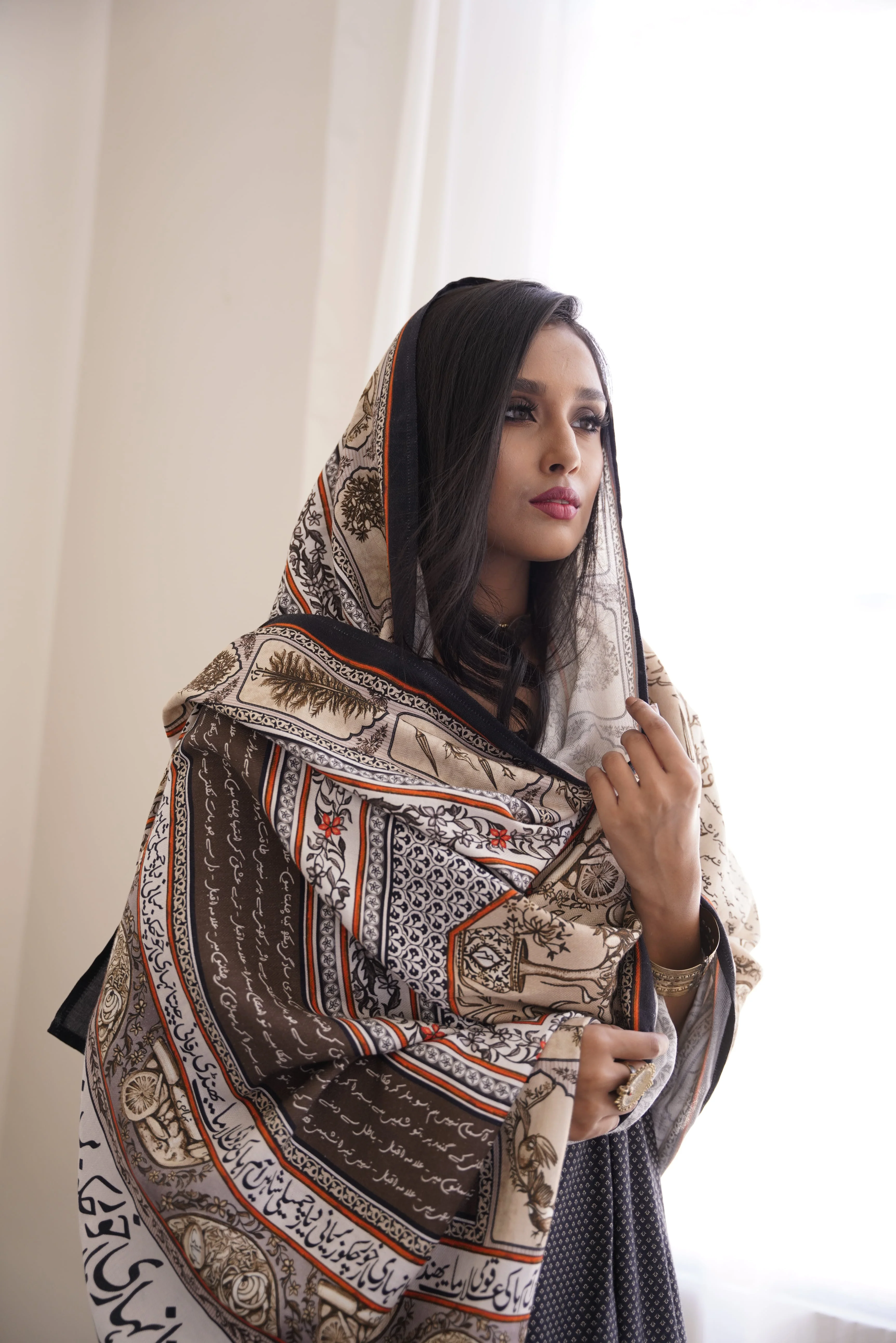 Virsa (Heritage) - Beige Odhni - Image 6